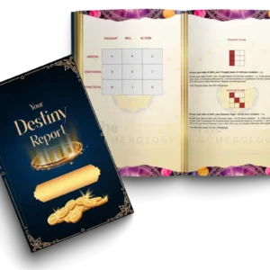 Destiny Report